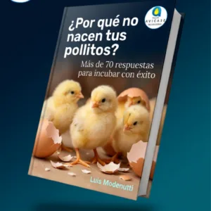 Mas de 70 preguntas y sus respuestas sobre incubacion