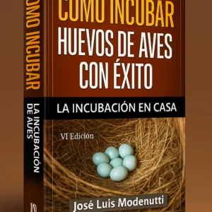 Como Incubar Huevos de Aves con Éxito